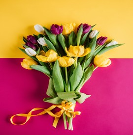 Tulips